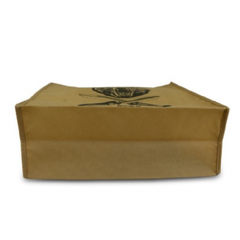 Non woven shopping carry reusable grocery bag