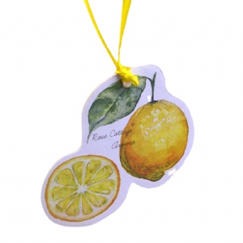 Custom your logo scented paper air freshener